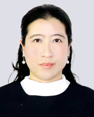 Company Profile - 中集车辆（集团）股份有限公司